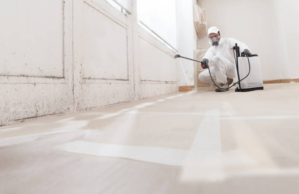 24/7 Emergency Basement Mold Remediation experts in Tomball, TX
