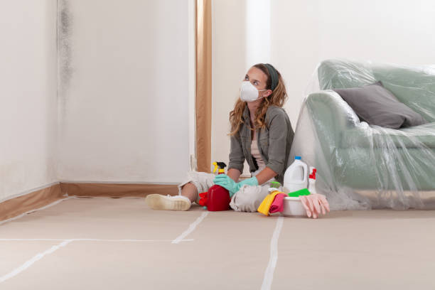 Reliable Basement Mold Remediation contractor in Tomball, TX by 24 Hour Mold Removal